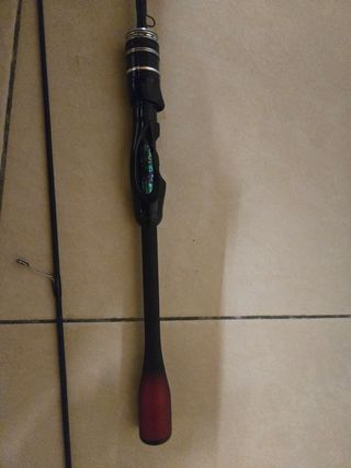 Caña de pescar Zhenyi 198