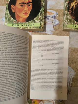 Lote 3 libros de la serie feminismos