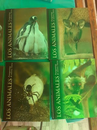 Colección de libros sobre animales del mundo