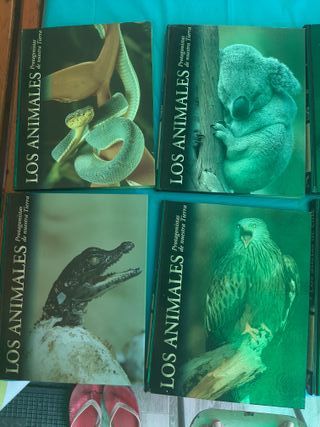 Colección de libros sobre animales del mundo