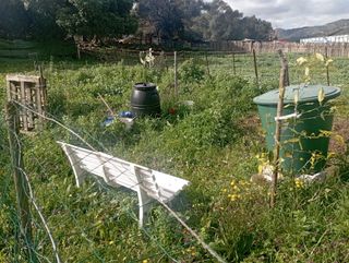 Magnífica Parcela-Terreno-Finca Rústica 7.000 m2