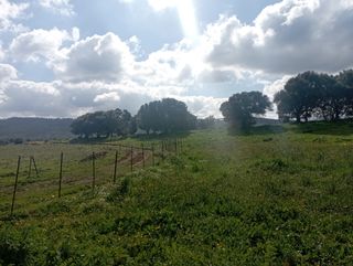 Magnífica Parcela-Terreno-Finca Rústica 7.000 m2