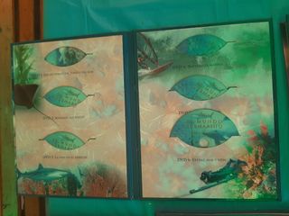 Colección de libros y dvd del mundo submarino