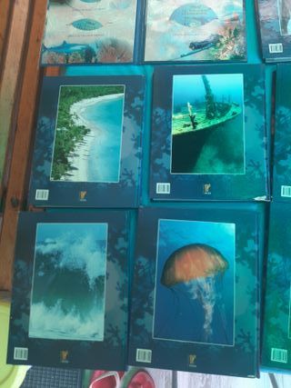 Colección de libros y dvd del mundo submarino