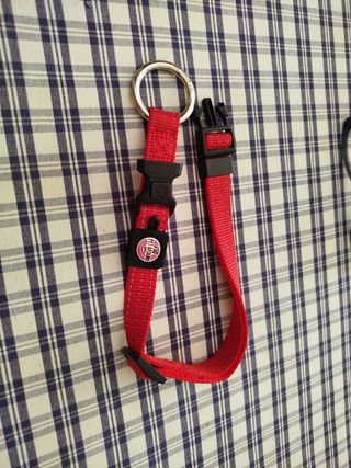 Collare Pet Around rosso