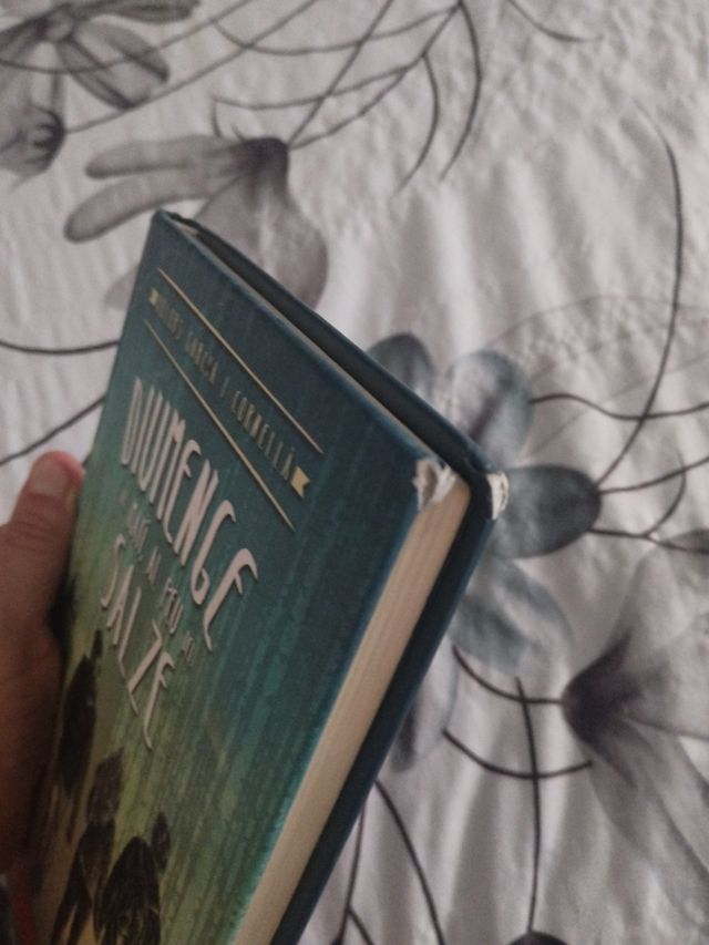 Diumenge al matí, al peu del salze