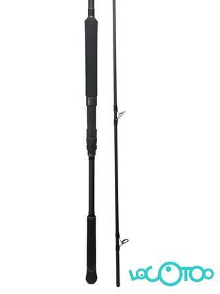 Caña Pesca Major Craft XR5-1002MH