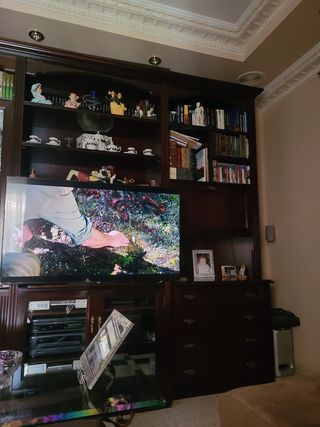 Mueble salón caoba clásico como nuevo.