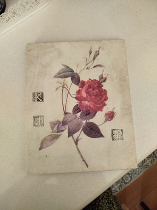 Quadro Rosa - Decorazione shabby chic