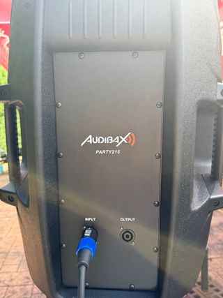 Altavoces Audiobox Party 15”