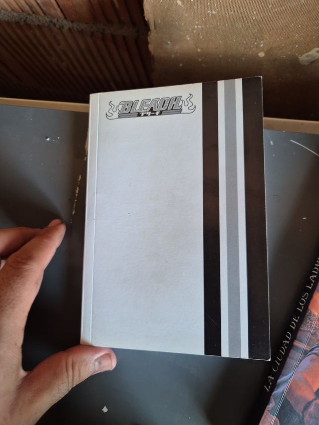 Bleach 2 (Spanish Edition)