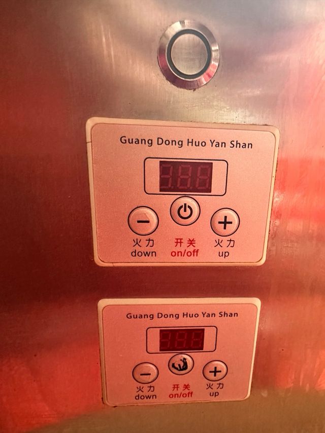 Griglia elettrica professionale