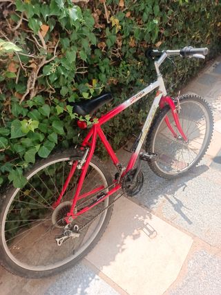 Bicicleta montaña aluminio