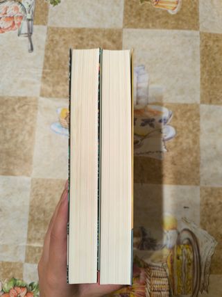 Lote de dos libros de María Martínez