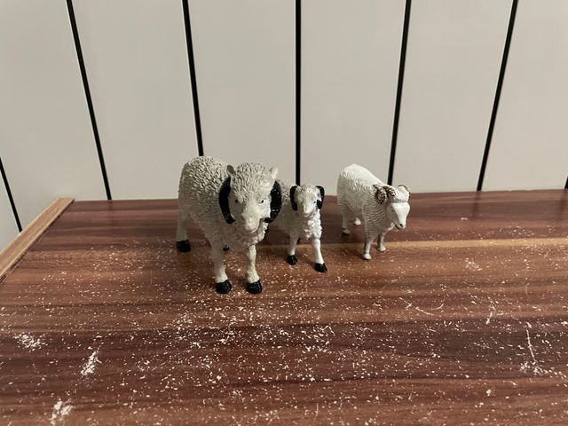 Animali plastica: zebre & leoni