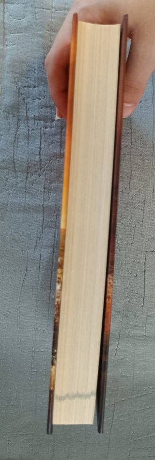 Secret Academy. La isla Fénix