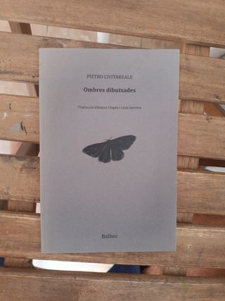 Pietro civitareale, ombres dibuixades 