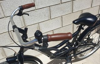 Bicicleta paseo