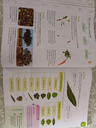 CIENCIAS DA NATUREZA 3 PRIMARIA CONSTRUINDO MUNDOS