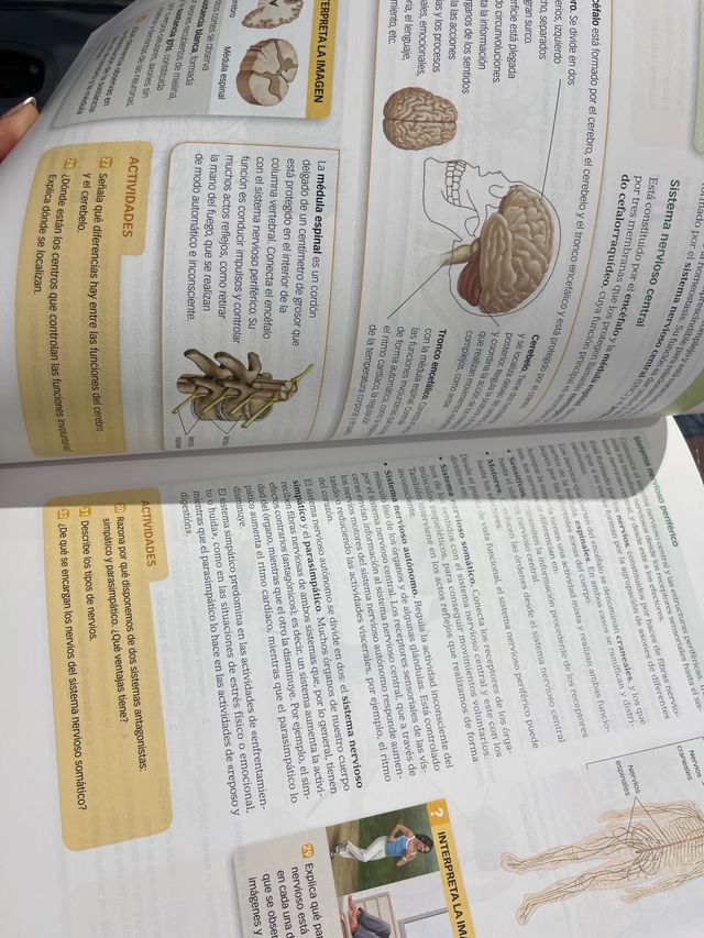 Biología Y Geología: Biología Y Geología, 3 Eso