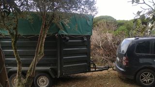 Remolque Caballo - Transporte Caballos