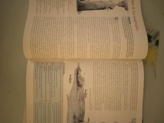 Lengua Castellana y Literatura 3º ESO Adarve: A...