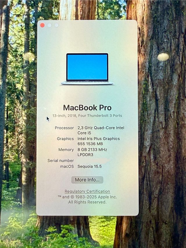 MacBook Pro 13” 2018 i5 500GB en perfecto estado