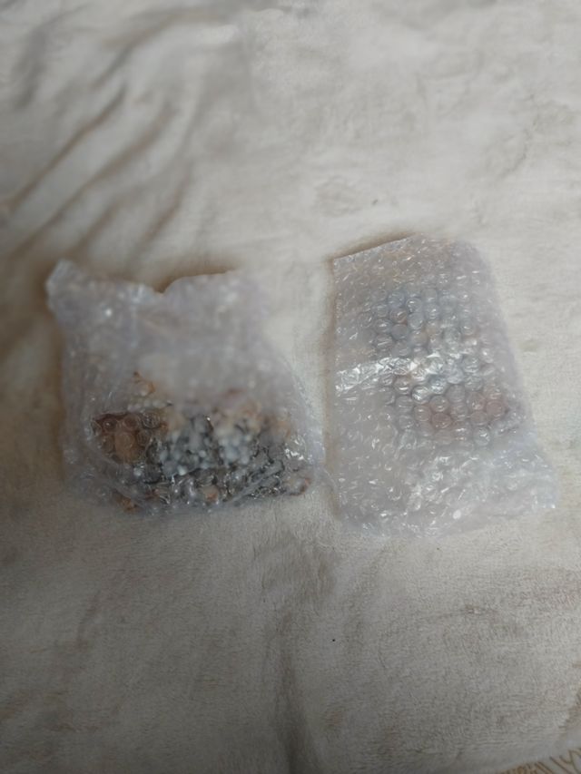 2 Bikinis Shein con perlas de mar y conchas