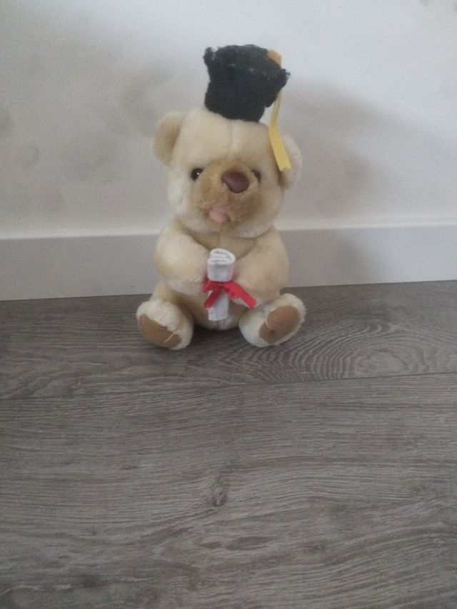 Oso graduado de peluche