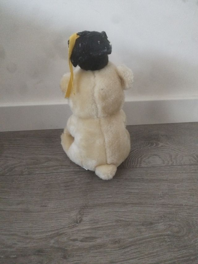 Oso graduado de peluche