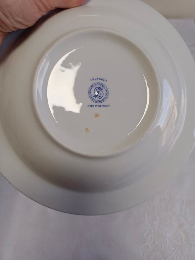 Vajilla lujo porcelana dorada 12 piezas