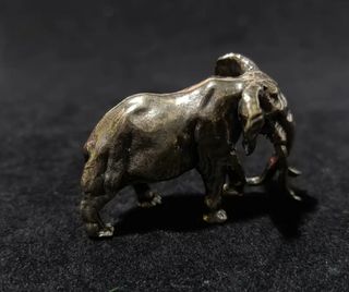 Raro Elefante africano de latón macizo