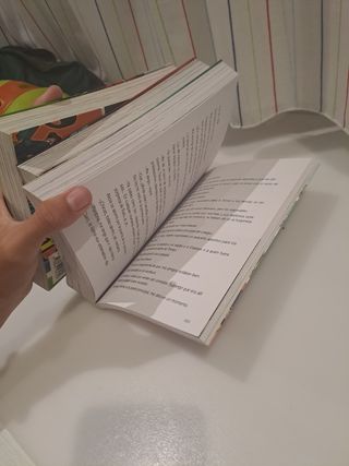 Los Futbolísimos 1: El misterio de los árbitros...