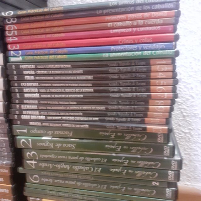 DVDs equitación