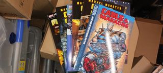 Cable & Masacre Panini 