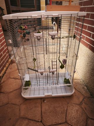 Jaula pajaros Vision