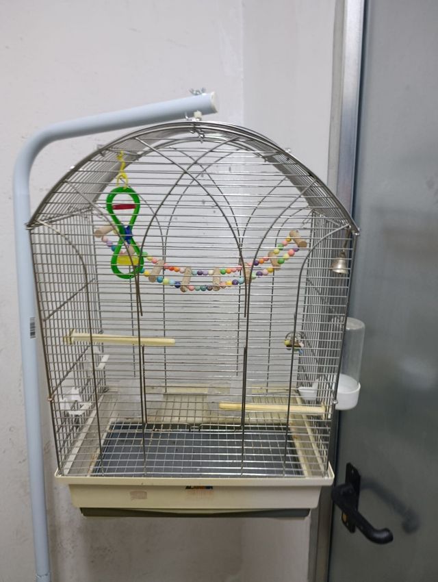 Jaula pajaros metalica