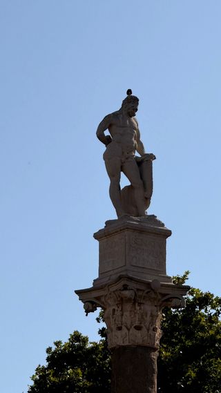 Albañil,alicatador, pintor y fontanero .