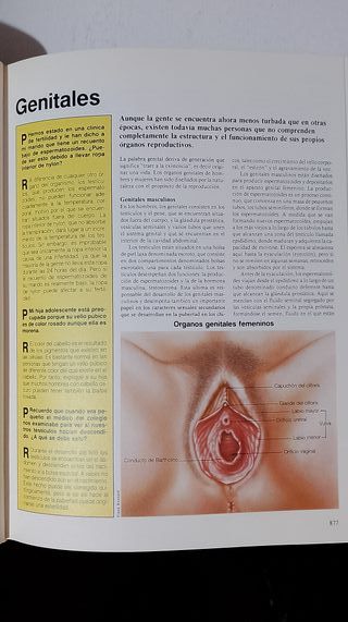 Prevenir y Vivir , Guia Familiar ,n 4