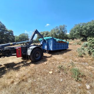 Leña para chimenea -