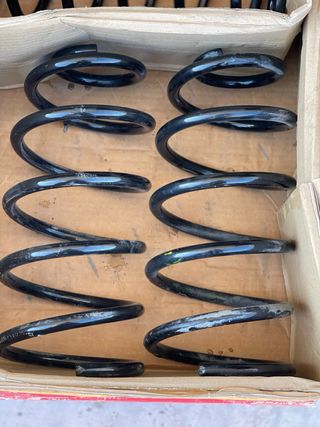 Muelles suspensión Seat Leon mk1 FR TDI