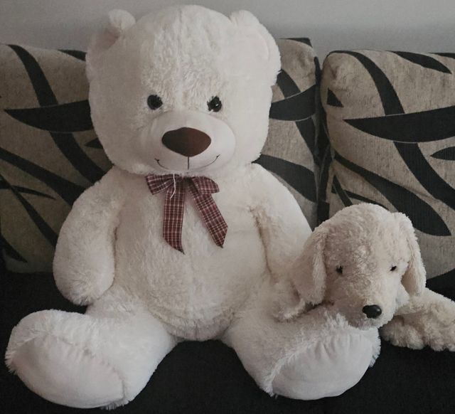 2 Peluches: Oso y Perrito
Medidas 70 y 50CM