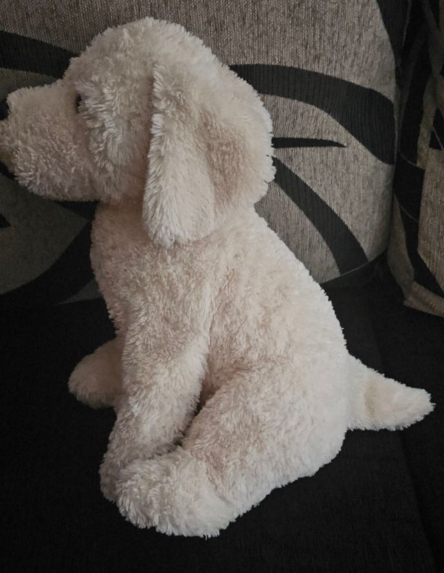 2 Peluches: Oso y Perrito
Medidas 70 y 50CM