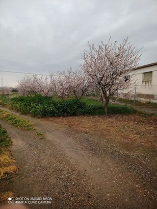 Terreno en venta en Binéfar