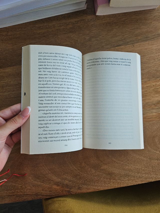 El Príncep de la Boira