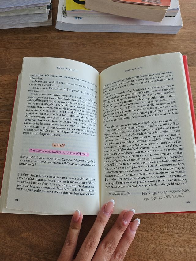 Tirant lo Blanc. Episodis amorosos