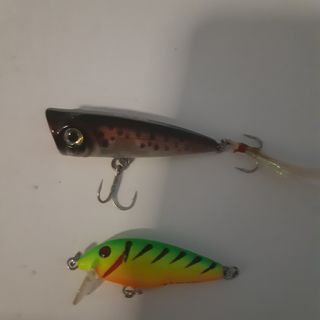 2 Señuelos de Pesca.