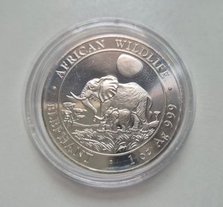Elefante de Somalia 2011 plata
