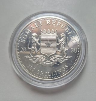Elefante de Somalia 2020 plata