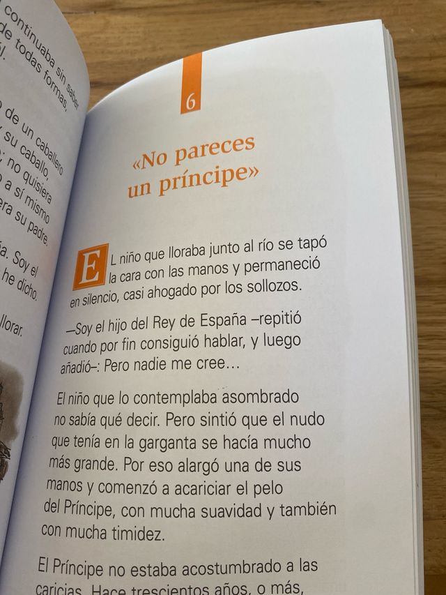 El príncipe perdido (Aventuras / Adven) (Span